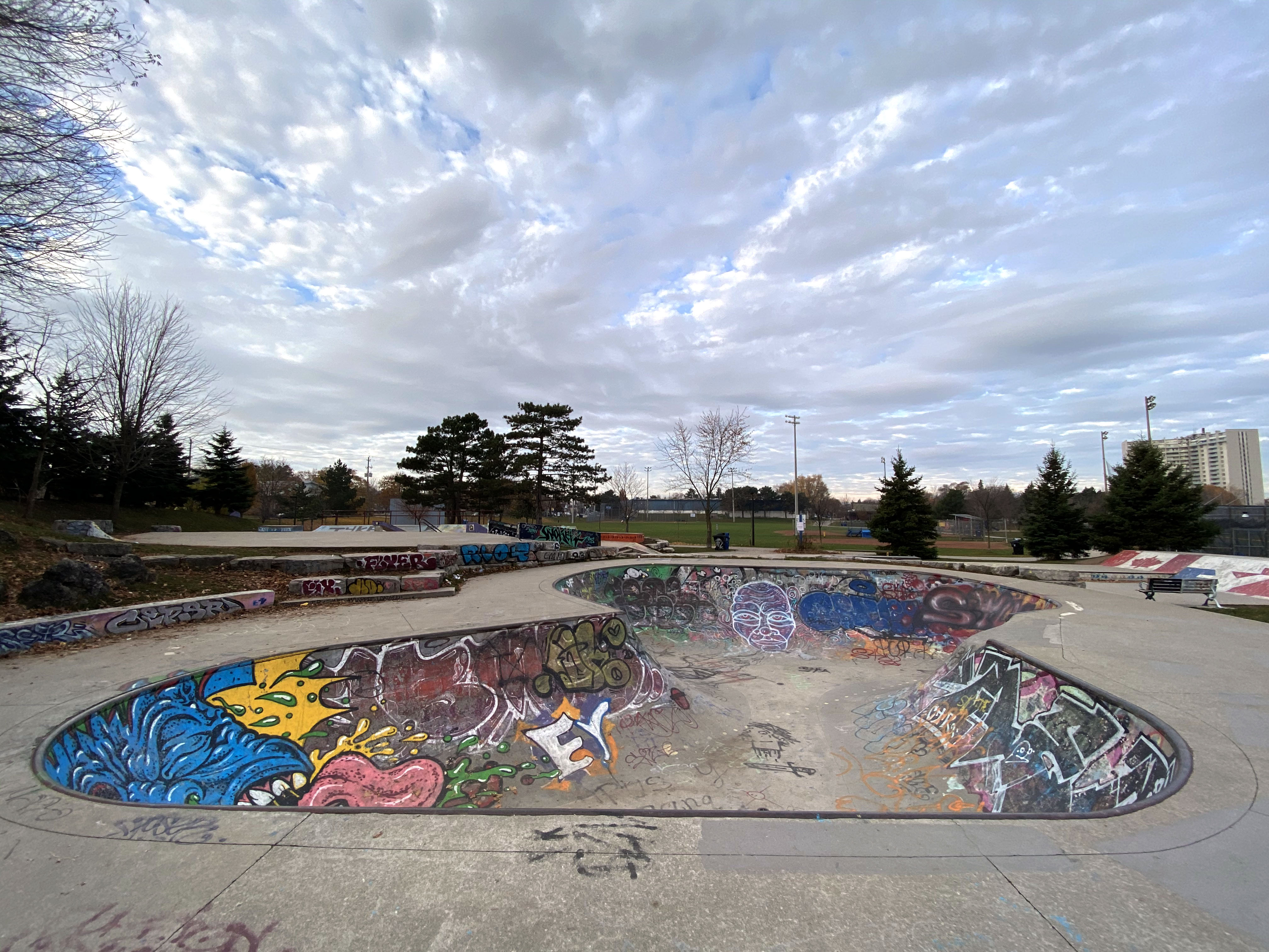 East York Skatepark in Toronto, view from the bowl